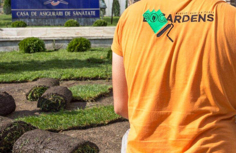 Bogardens amenajări instituții
