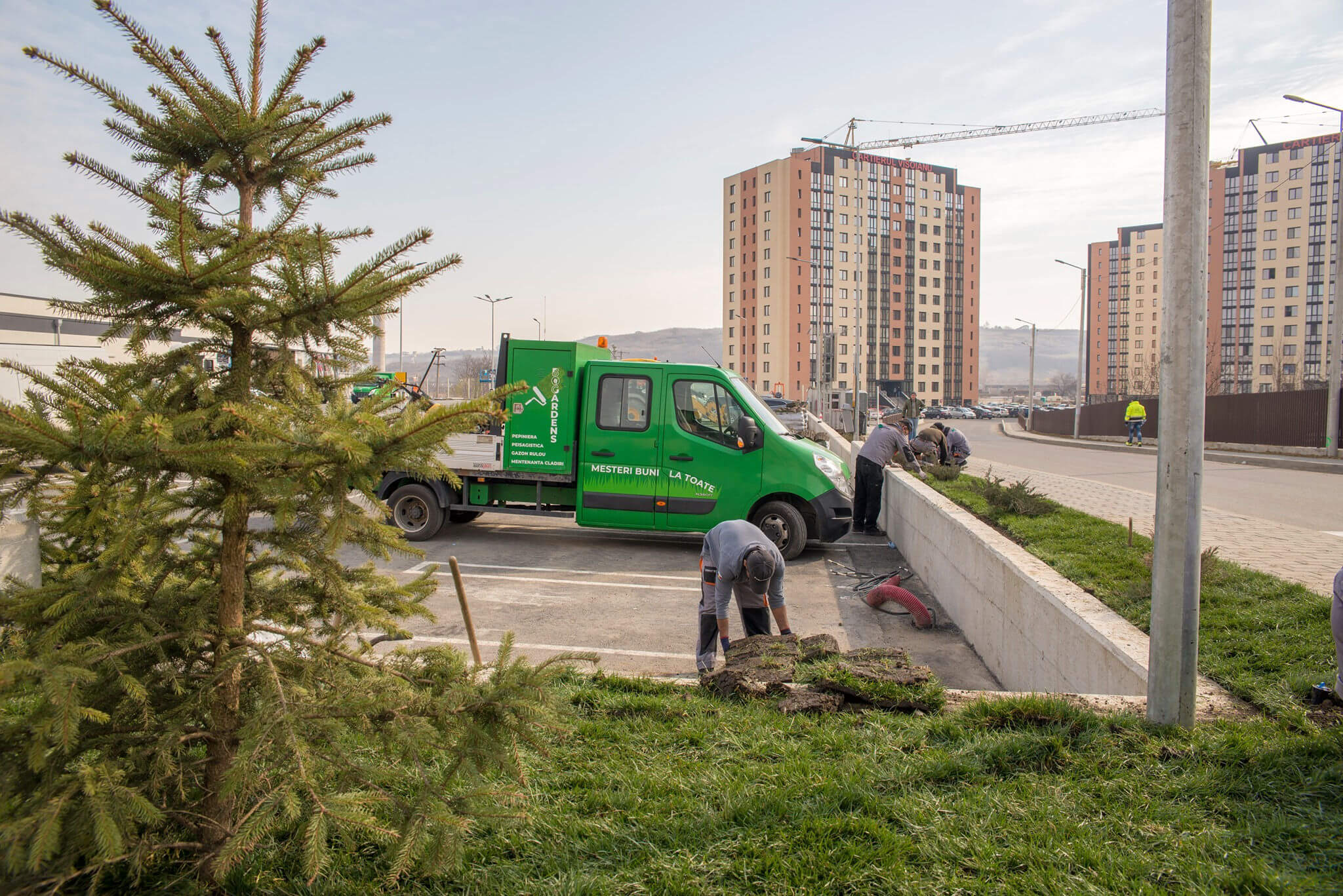 Peisagistică spații comerciale Bogardens